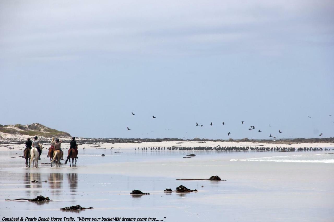 Ons C-Huis - Gansbaai Seafront Accommodation, Back-Up Power Exteriör bild