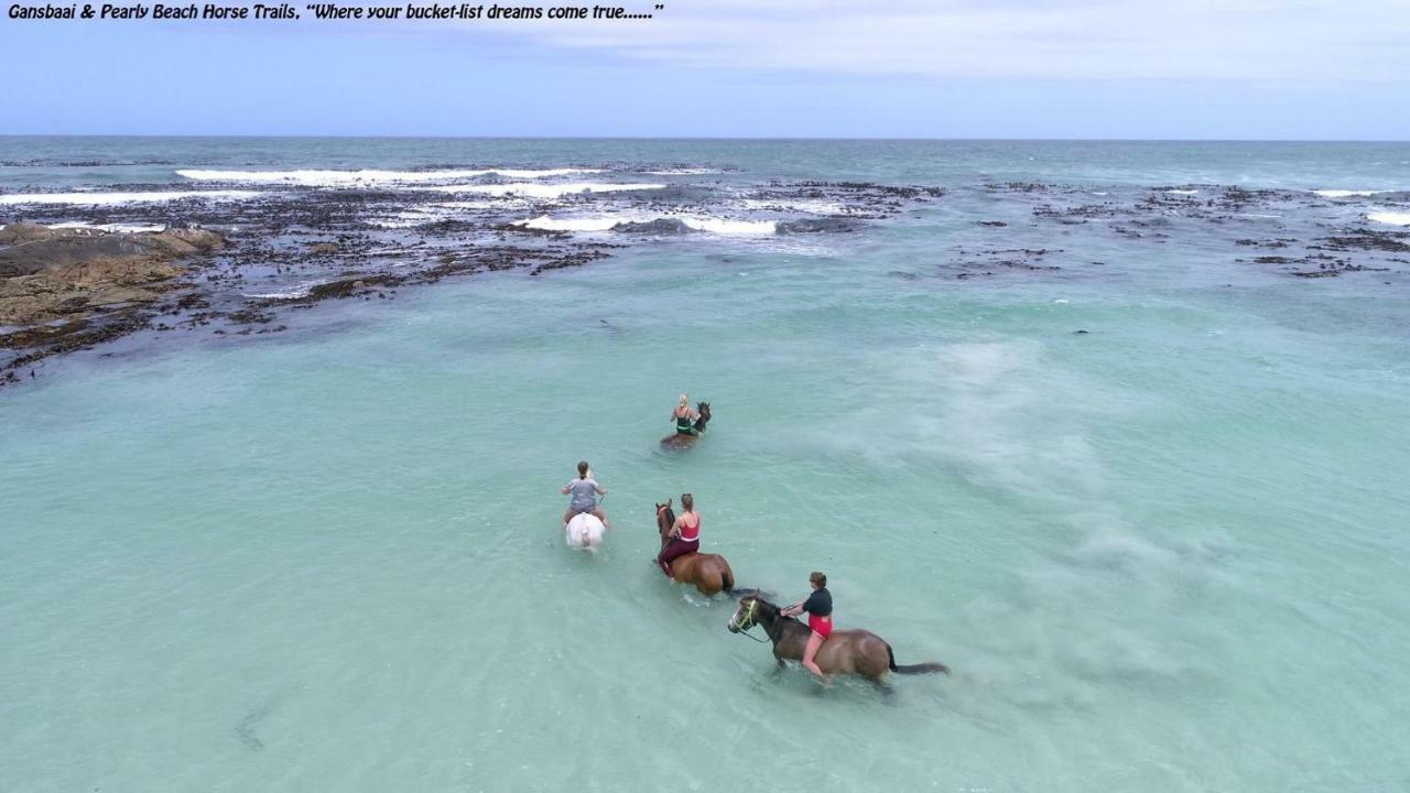 Ons C-Huis - Gansbaai Seafront Accommodation, Back-Up Power Exteriör bild